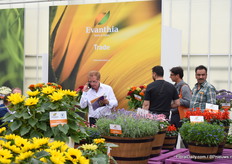 Het was lekker druk bij Evanthia.